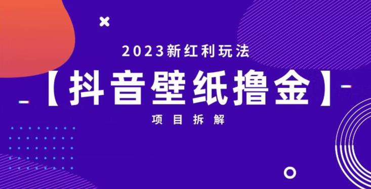 抖音壁纸小程序创作者撸金项目，2023新红利玩法【项目拆解】| 网创圈