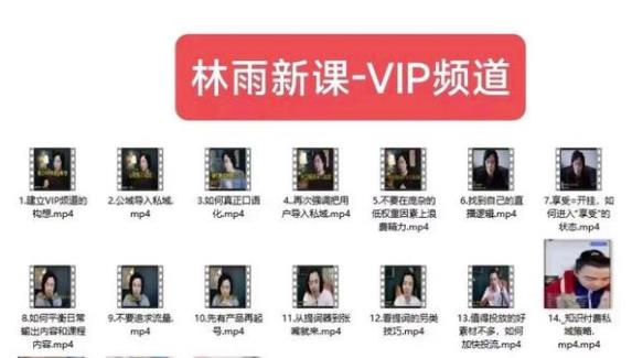 林雨新课VIP频道，玩赚私域/朋友圈/社群| 网创圈