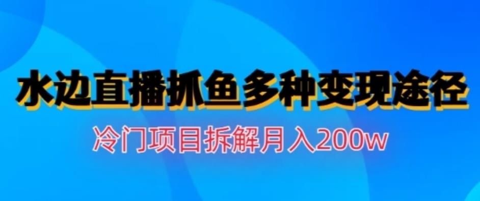 水边直播抓鱼，多种变现途径冷门项目，月入200w拆解【揭秘】| 网创圈