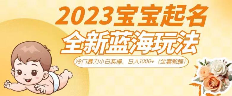 2023宝宝起名全新蓝海玩法，冷门暴力小白实操，日入1000+（全套教程）【揭秘】| 网创圈