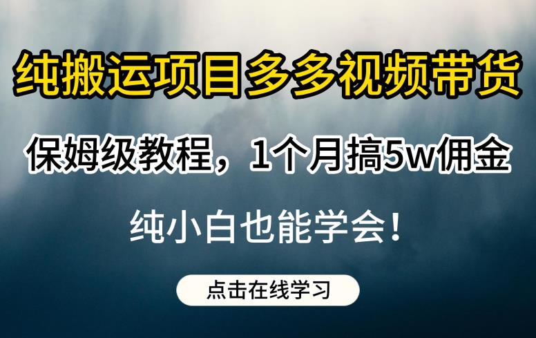 纯搬运项目多多视频带货保姆级教程，1个月搞5w佣金，纯小白也能学会【揭秘】| 网创圈