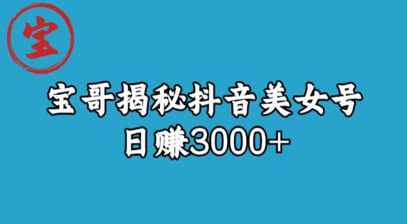 宝哥揭秘抖音美女号玩法，日赚3000+【揭秘】| 网创圈