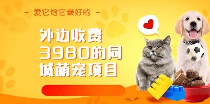 外边收费3980的同城萌宠项目，用最冷门的玩法冲击最热门的市场【揭秘】| 网创圈