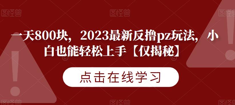 一天800块，2023最新反撸pz玩法，小白也能轻松上手【仅揭秘】| 网创圈