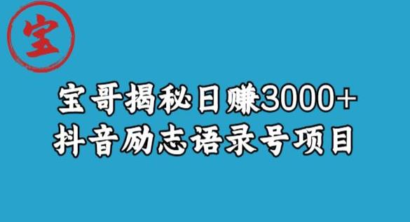 宝哥揭秘日赚3000+抖音励志语录号短视频变现项目| 网创圈
