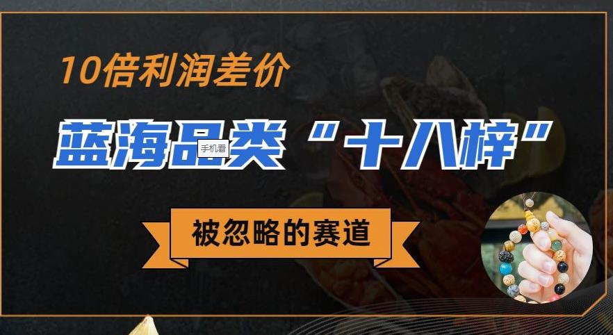 被忽略的蓝海品类“十八籽”，10倍的利润差价，同行一天几十单【揭秘】| 网创圈