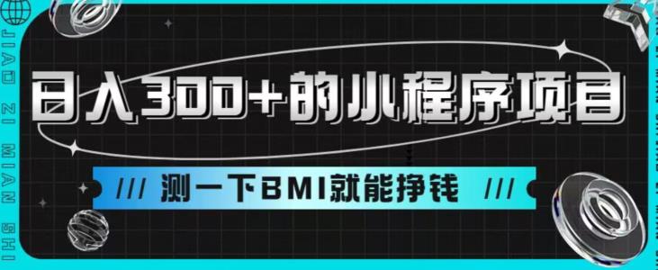 日入300+的小程序项目，测一下BMI就能挣钱【揭秘】| 网创圈