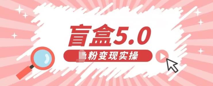 盲盒交友5.0，男粉变现实操项目，亲测变现效果极好【揭秘】| 网创圈