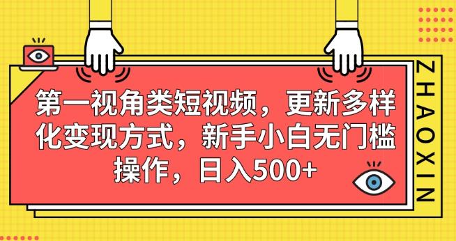 第一视角类短视频，更新多样化变现方式，新手小白无门槛操作，日入500+【揭秘】| 网创圈