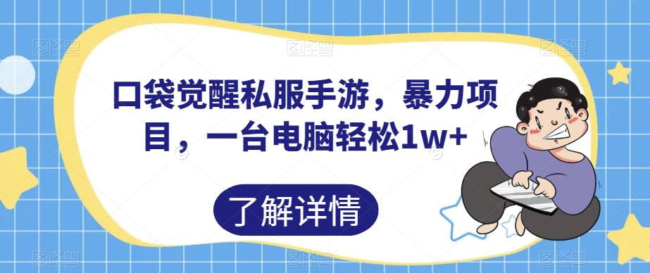 口袋觉醒私服手游，暴力项目，一台电脑轻松1w+【揭秘】| 网创圈