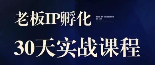 诸葛·2023老板IP实战课，实体同城引流获客，IP孵化必听| 网创圈