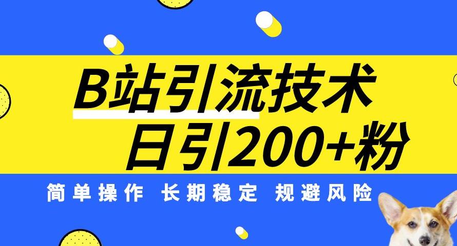 B站引流技术：每天引流200精准粉，简单操作，长期稳定，规避风险| 网创圈
