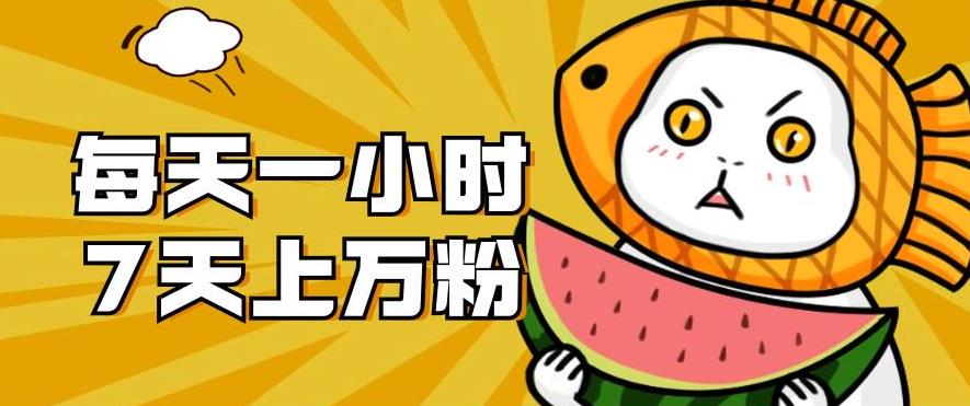 暴力涨粉项目：每天一小时，七天上万粉【揭秘】| 网创圈