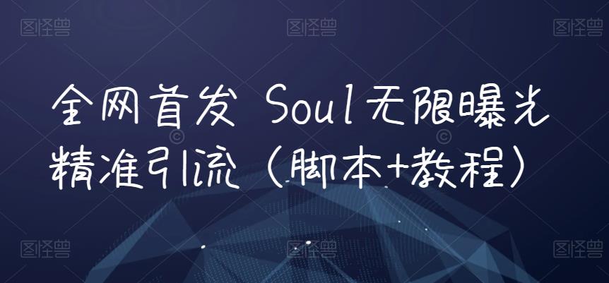 全网首发 Soul无限曝光精准引流（脚本+教程）| 网创圈