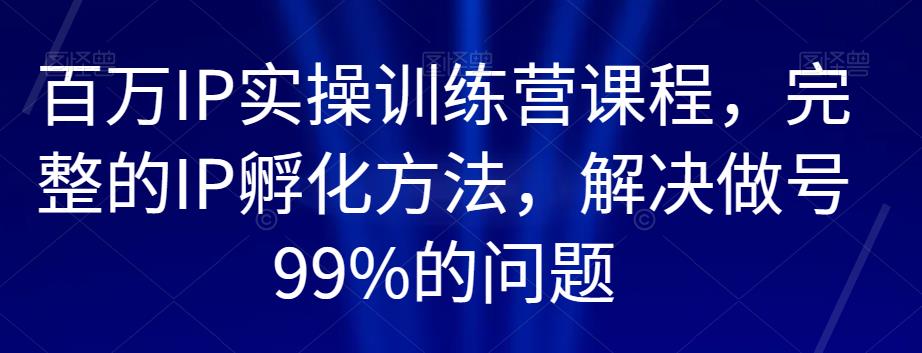 百万IP实操训练营课程，完整的IP孵化方法，解决做号99%的问题| 网创圈