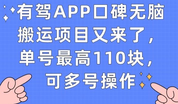有驾APP口碑无脑搬运项目又来了，单号最高110块，可多号操作| 网创圈