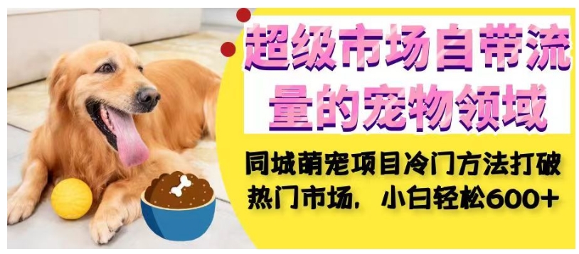 超级市场自带流量的宠物领域，同城萌宠项目冷门方法打破热门市场，小白轻松600+| 网创圈