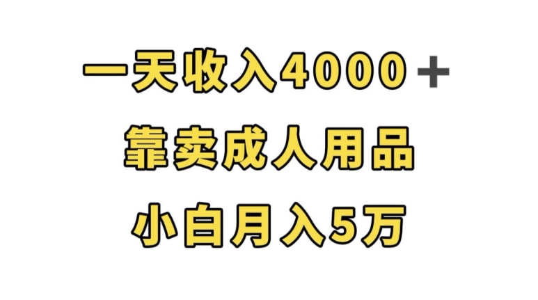 一天收入4000+，靠卖成人用品，小白轻松月入5万【揭秘】| 网创圈