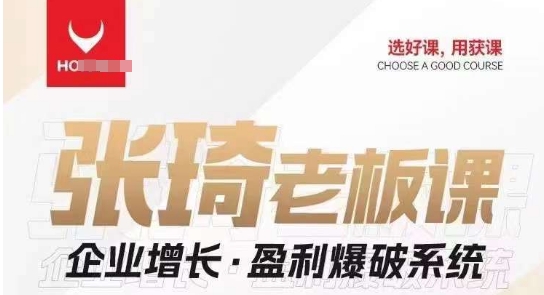 【组合课】张琦张琦老板企业增长·盈利爆破系统（直播专享）| 网创圈