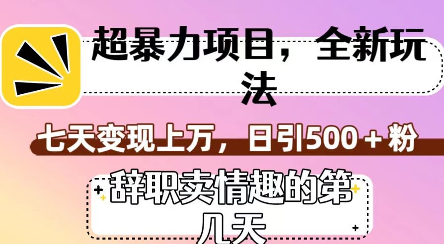 超暴利项目，全新玩法（辞职卖情趣的第几天），七天变现上万，日引500+粉【揭秘】| 网创圈