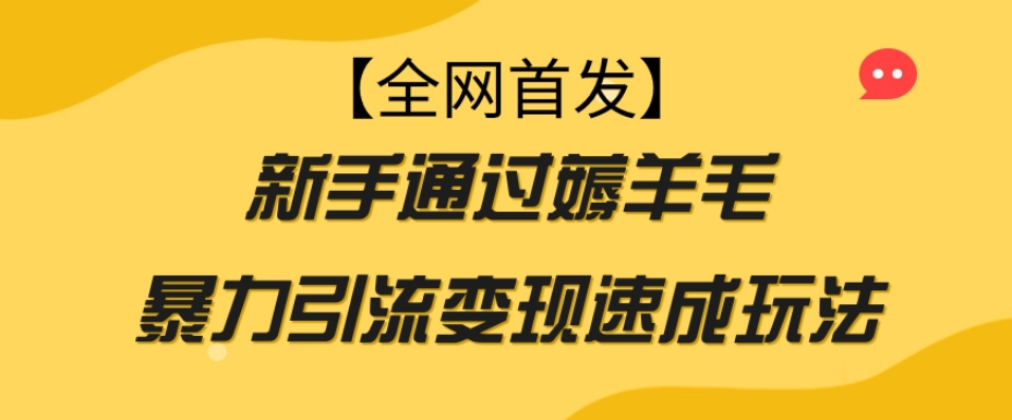 【全网首发】新手通过薅羊毛暴力引流变现速成玩法| 网创圈