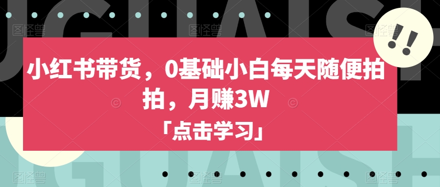 小红书带货，0基础小白每天随便拍拍，月赚3W【揭秘】| 网创圈