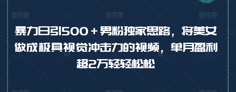 暴力日引500＋男粉独家思路，将美女做成极具视觉冲击力的视频，单月盈利超2万轻轻松松| 网创圈