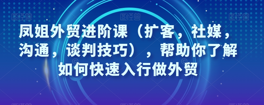 凤姐外贸进阶课（扩客，社媒，沟通，谈判技巧），帮助你了解如何快速入行做外贸| 网创圈