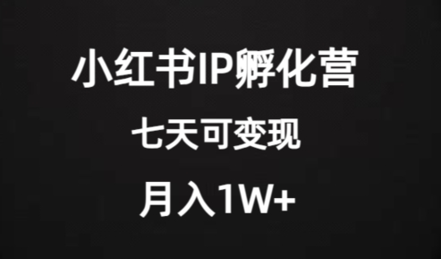 价值2000+的小红书IP孵化营项目，超级大蓝海，七天即可开始变现，稳定月入1W+| 网创圈