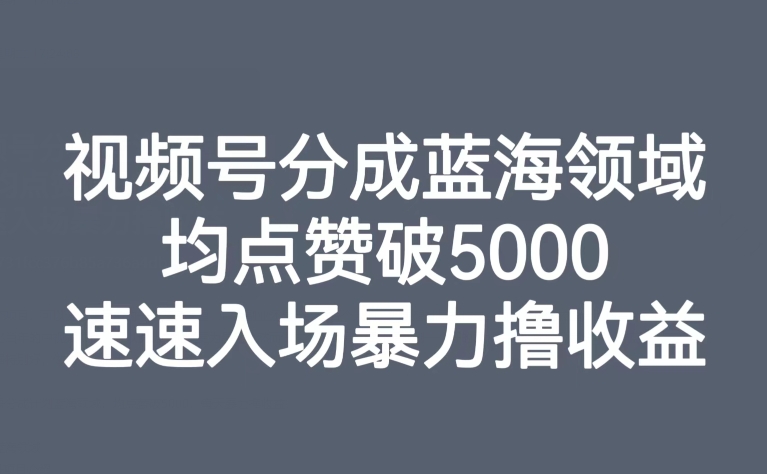 视频号分成蓝海领域，均点赞破5000，速速入场暴力撸收益| 网创圈