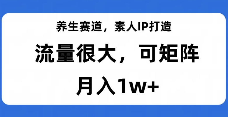 养生赛道，素人IP打造，流量很大，可矩阵，月入1w+【揭秘】| 网创圈