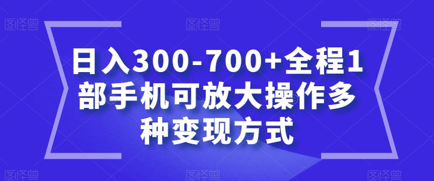 日入300-700+全程1部手机可放大操作多种变现方式【揭秘】| 网创圈