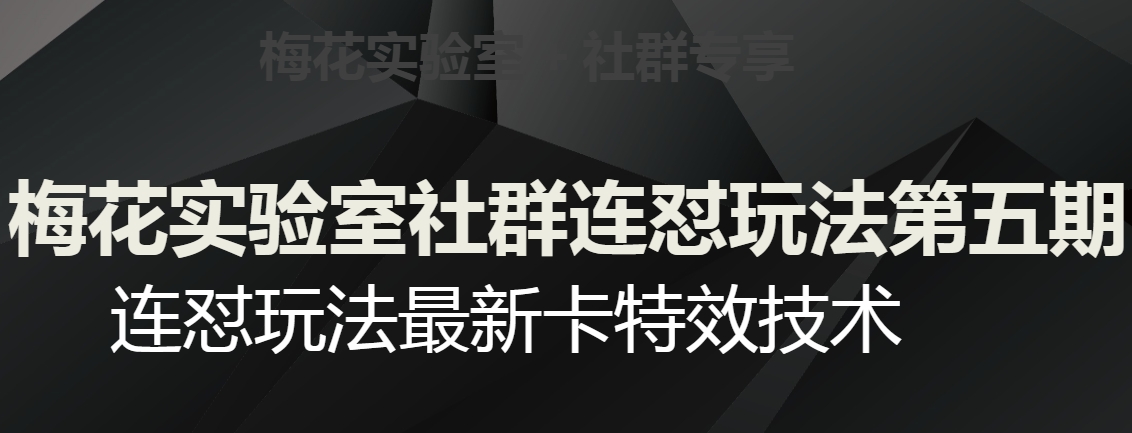 梅花实验室社群连怼玩法第五期，视频号连怼玩法最新卡特效技术| 网创圈
