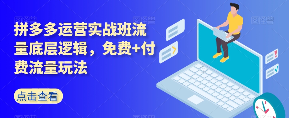 拼多多运营实战班流量底层逻辑，免费+付费流量玩法| 网创圈