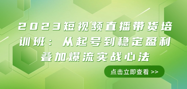 2023短视频直播带货培训班：从起号到稳定盈利叠加爆流实战心法（11节课）| 网创圈