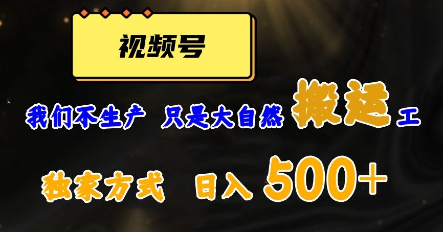 视频号轻松搬运日赚500+，一个1分钟1条原创视频【揭秘】| 网创圈
