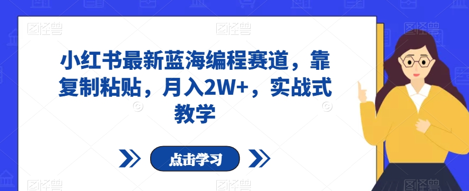 小红书最新蓝海编程赛道，靠复制粘贴，月入2W+，实战式教学【揭秘】| 网创圈