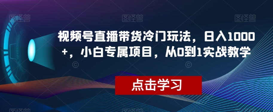 视频号直播带货冷门玩法，日入1000+，小白专属项目，从0到1实战教学【揭秘】| 网创圈