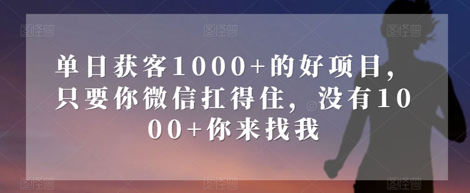 单日获客1000+的好项目，只要你微信扛得住，没有1000+你来找我【揭秘】| 网创圈