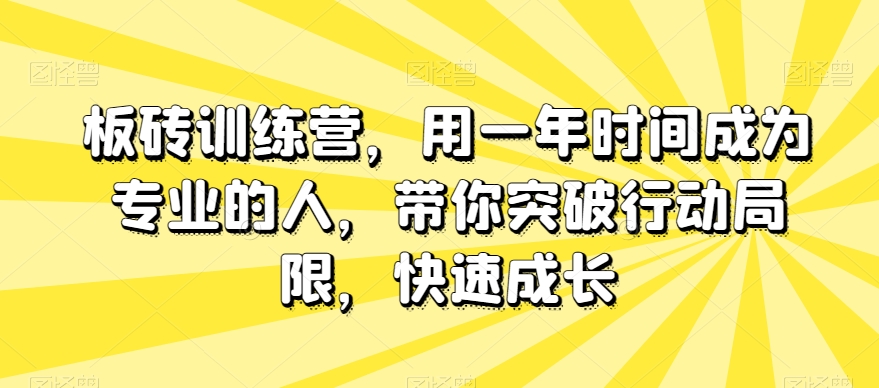 板砖训练营，用一年时间成为专业的人，带你突破行动局限，快速成长| 网创圈