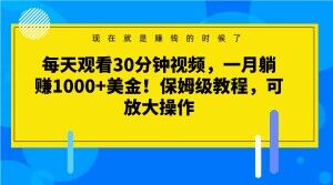 每天观看30分钟视频，一月躺赚1000+美金！保姆级教程，可放大操作【揭秘】| 网创圈