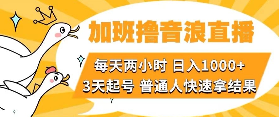 加班撸音浪直播，每天两小时，日入1000+，直播话术才3句，3天起号，普通人快速拿结果【揭秘】| 网创圈