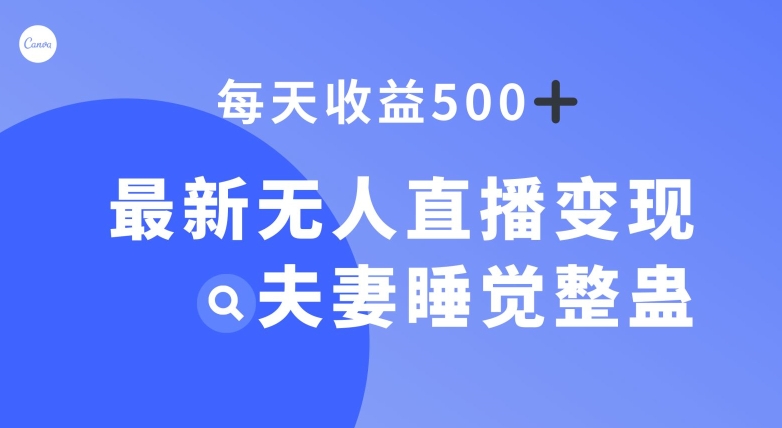 最新无人直播变现，夫妻睡觉整蛊，每天躺赚500+【揭秘】| 网创圈