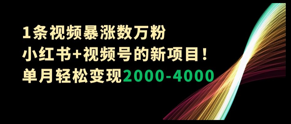 1条视频暴涨数万粉–小红书+视频号的新项目！单月轻松变现2000-4000【揭秘】| 网创圈