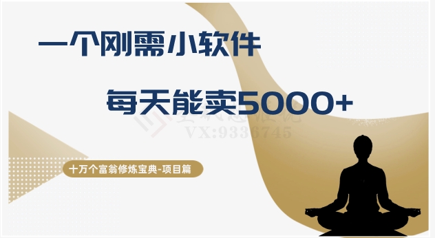十万个富翁修炼宝典之17.一个刚需小软件，每天能卖5000+| 网创圈