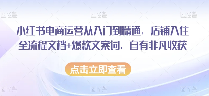 小红书电商运营从入门到精通，店铺入住全流程文档+爆款文案词，自有非凡收获| 网创圈