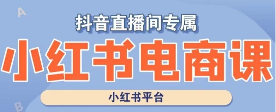 小红书电商高级运营课程，实操教学+案例分析| 网创圈