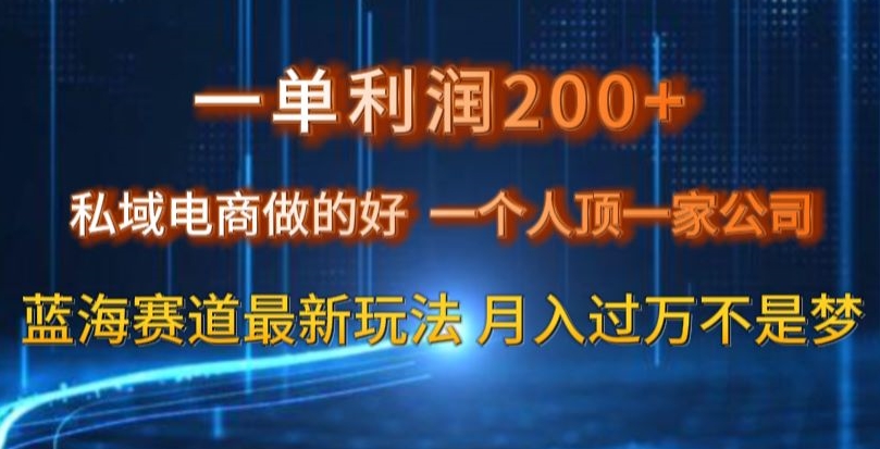 一单利润200私域电商做的好，一个人顶一家公司蓝海赛道最新玩法【揭秘】| 网创圈