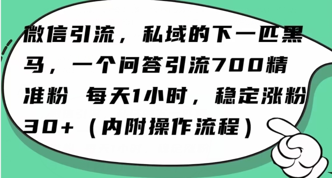 怎么搞精准创业粉？微信新赛道，每天一小时，利用Ai一个问答日引100精准粉| 网创圈