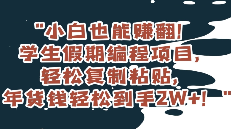 小白也能赚翻！学生假期编程项目，轻松复制粘贴，年货钱轻松到手2W+【揭秘】| 网创圈